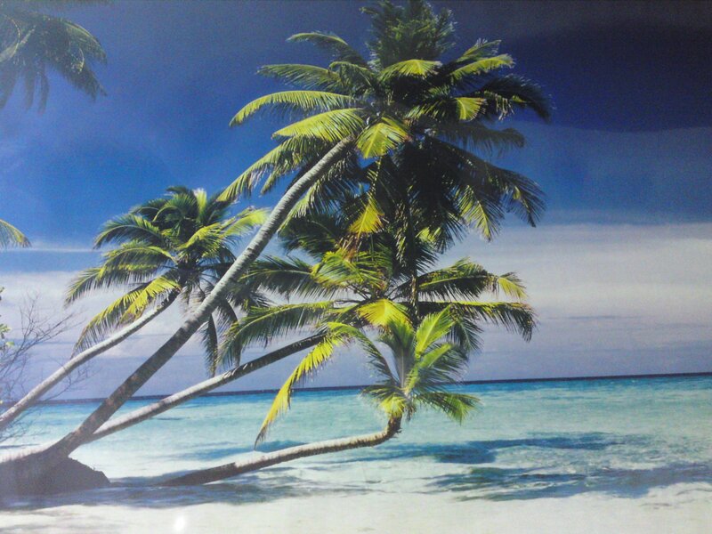 Coconut Palm Trees on Beach — Blue, Serene
