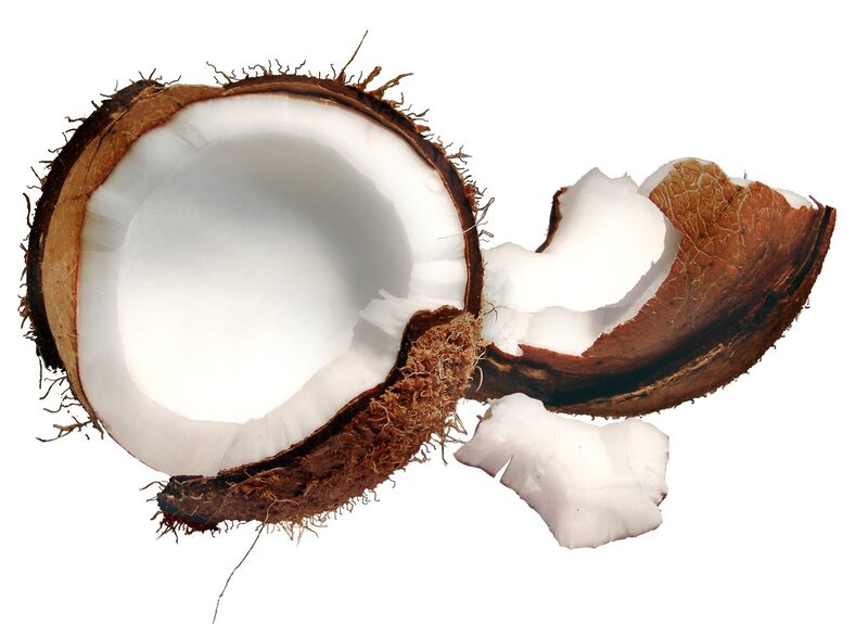 Coconut Shell Halves — Brown