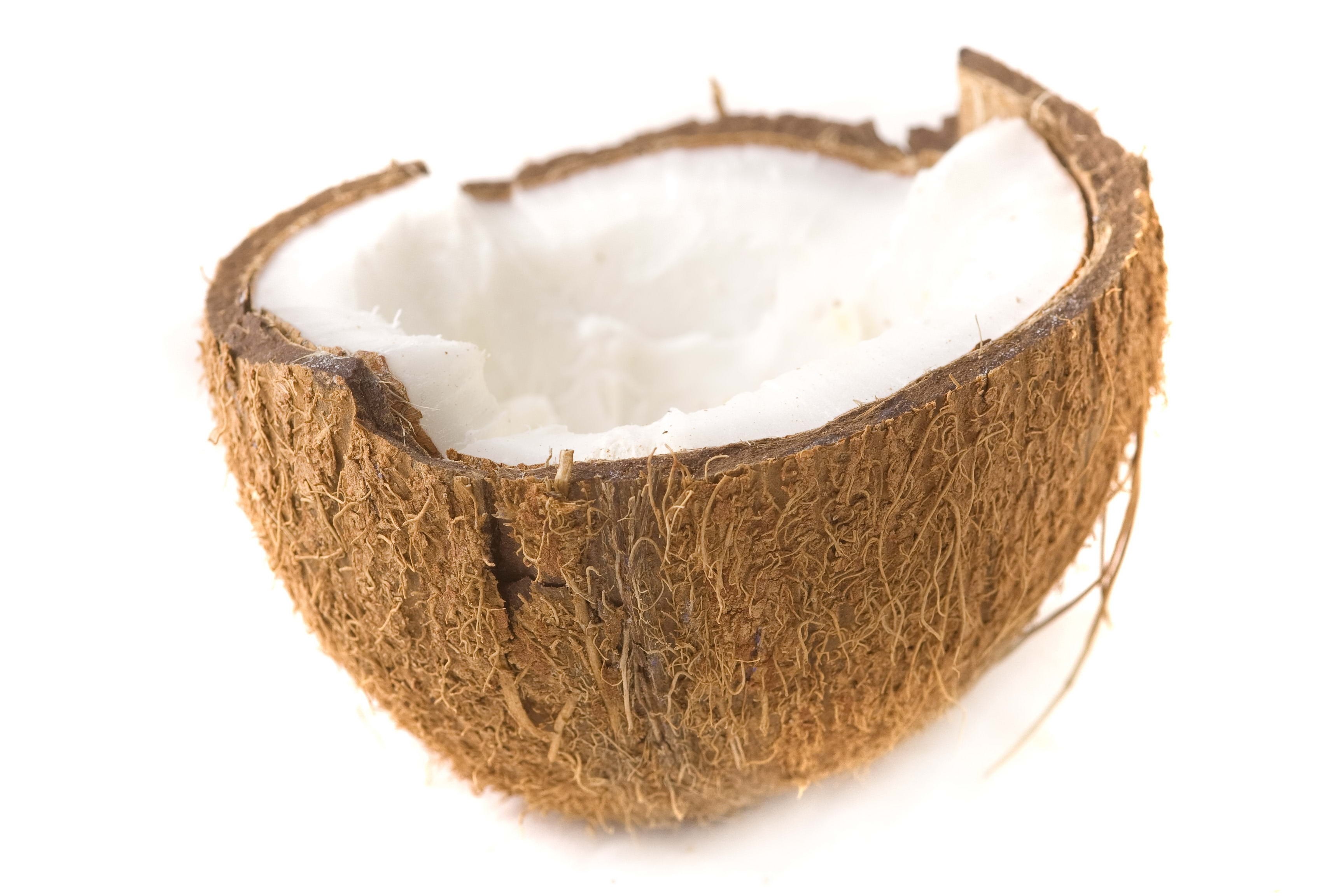 coconut shell with flesh
