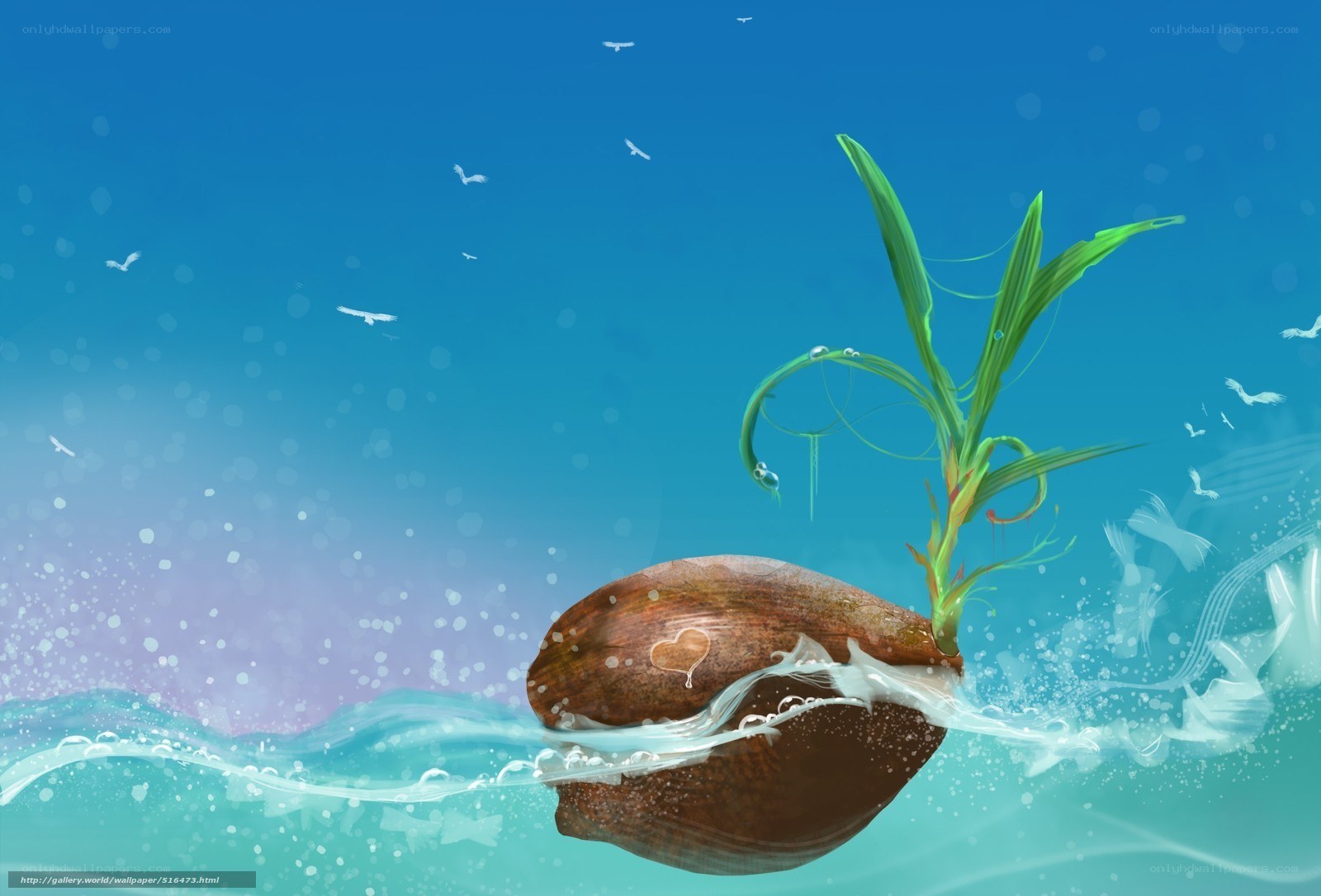 Coconut sprouting in ocean