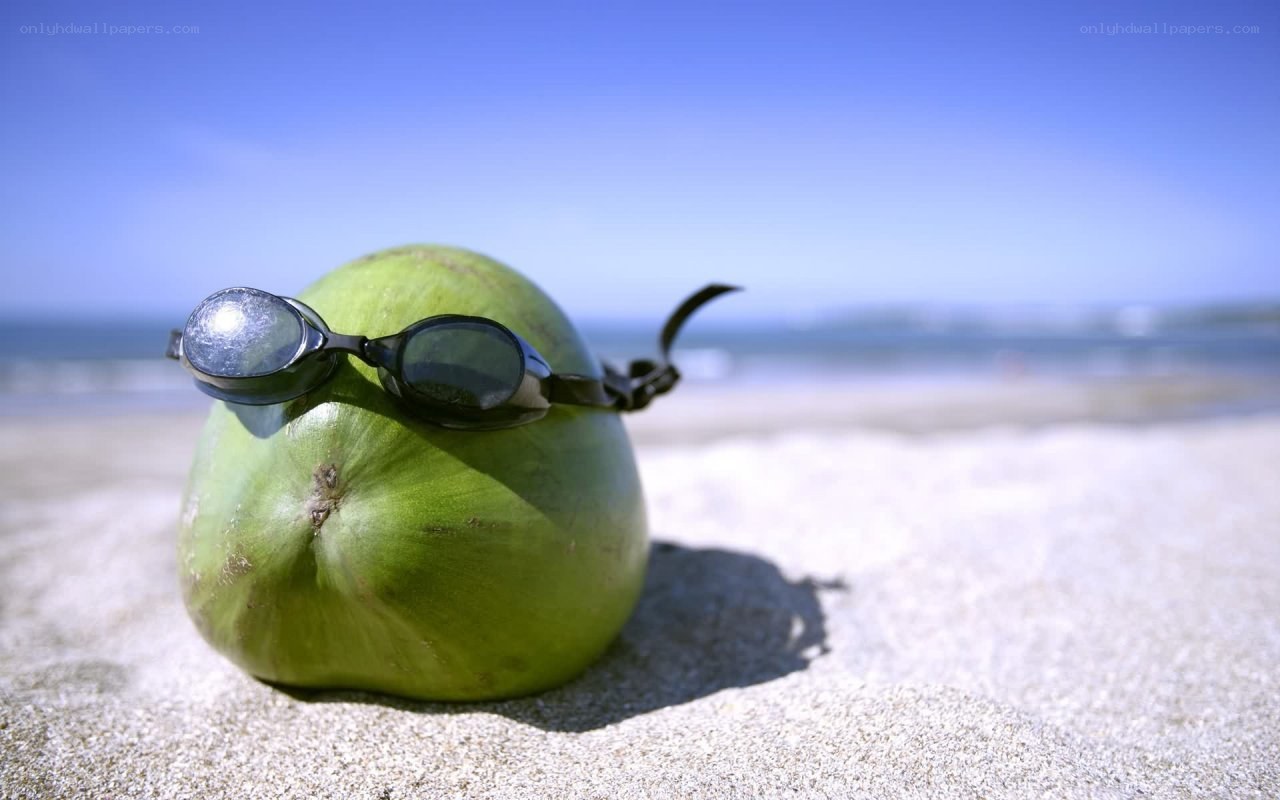 coconut with goggles on beach
