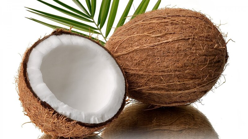 coconut with green leaf