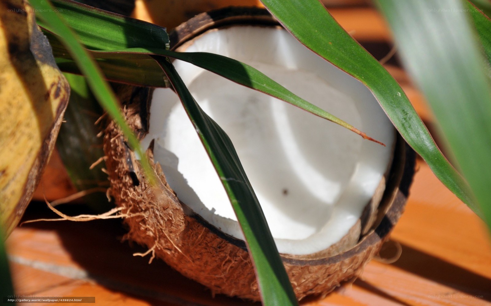 coconut with green leaves
