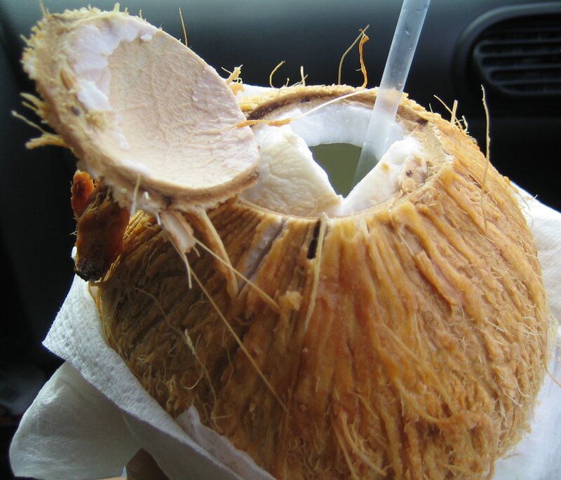 coconut with straw