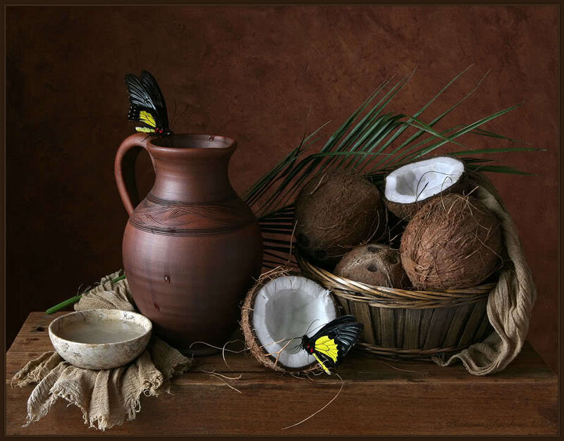 coconuts and butterflies still life