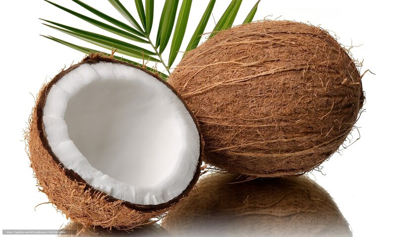 Coconuts with palm leaf
