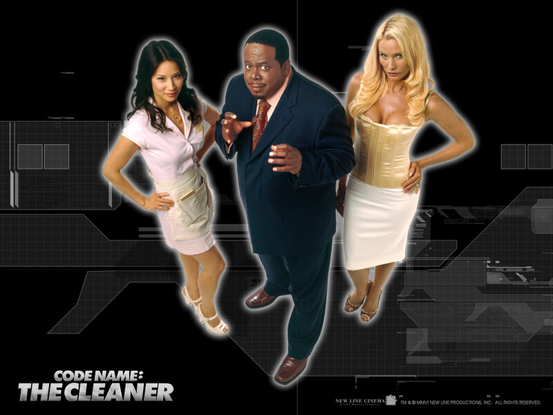 Code Name: The Cleaner