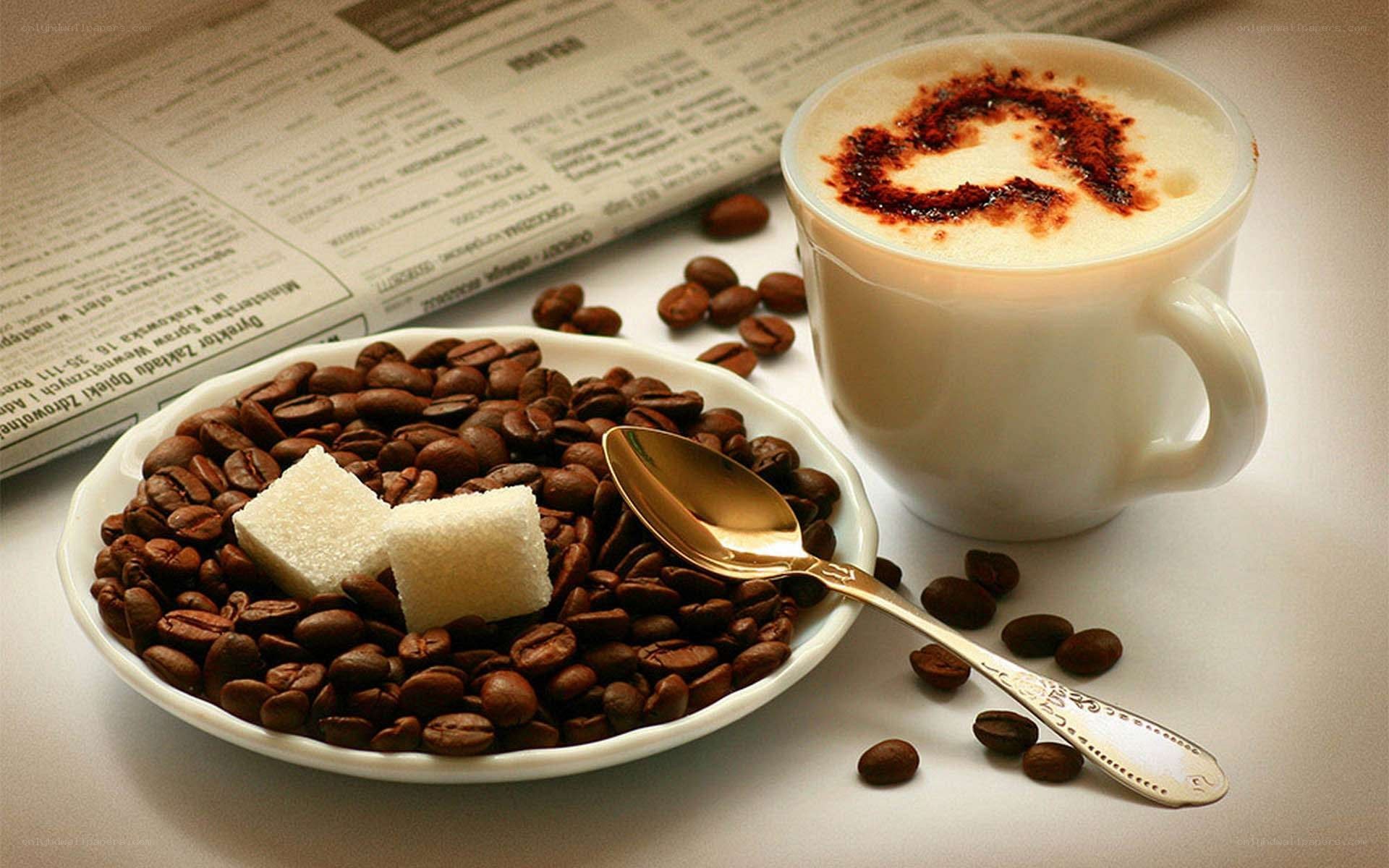 coffee and coffee beans