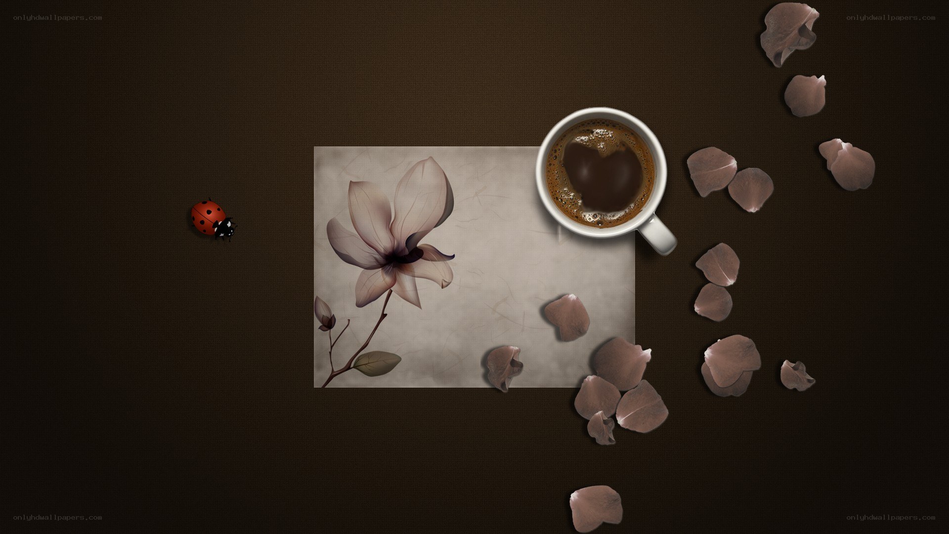 coffee and magnolia petals