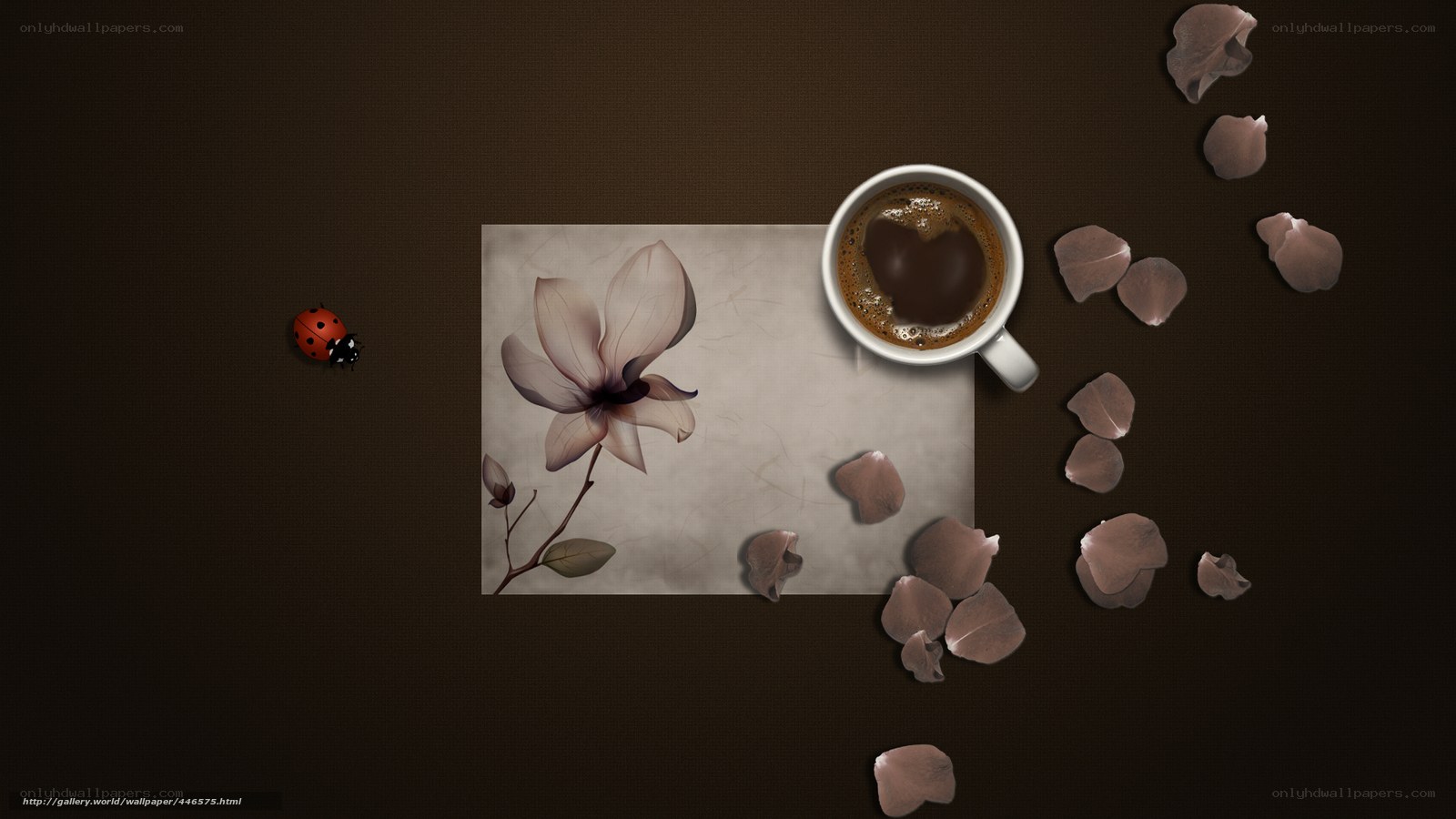 coffee and magnolia petals