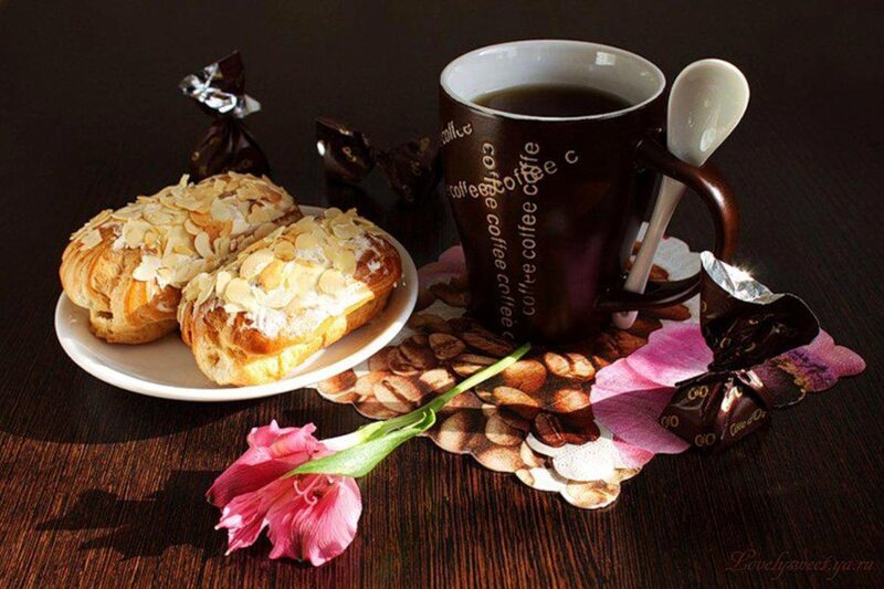 Coffee and Pastries — Brown, Calm