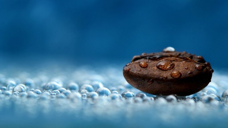 Coffee Bean in Water — Blue
