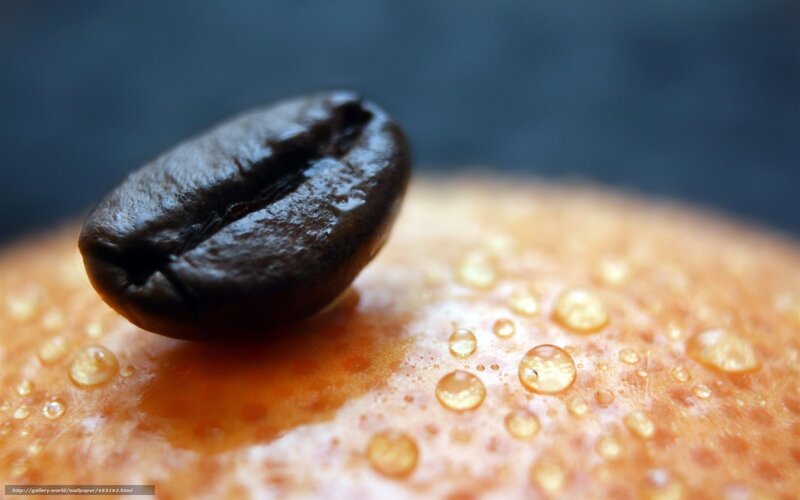 Coffee Bean on Fruit