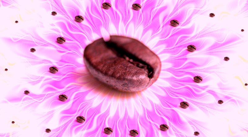 Coffee Bean on Pink Background