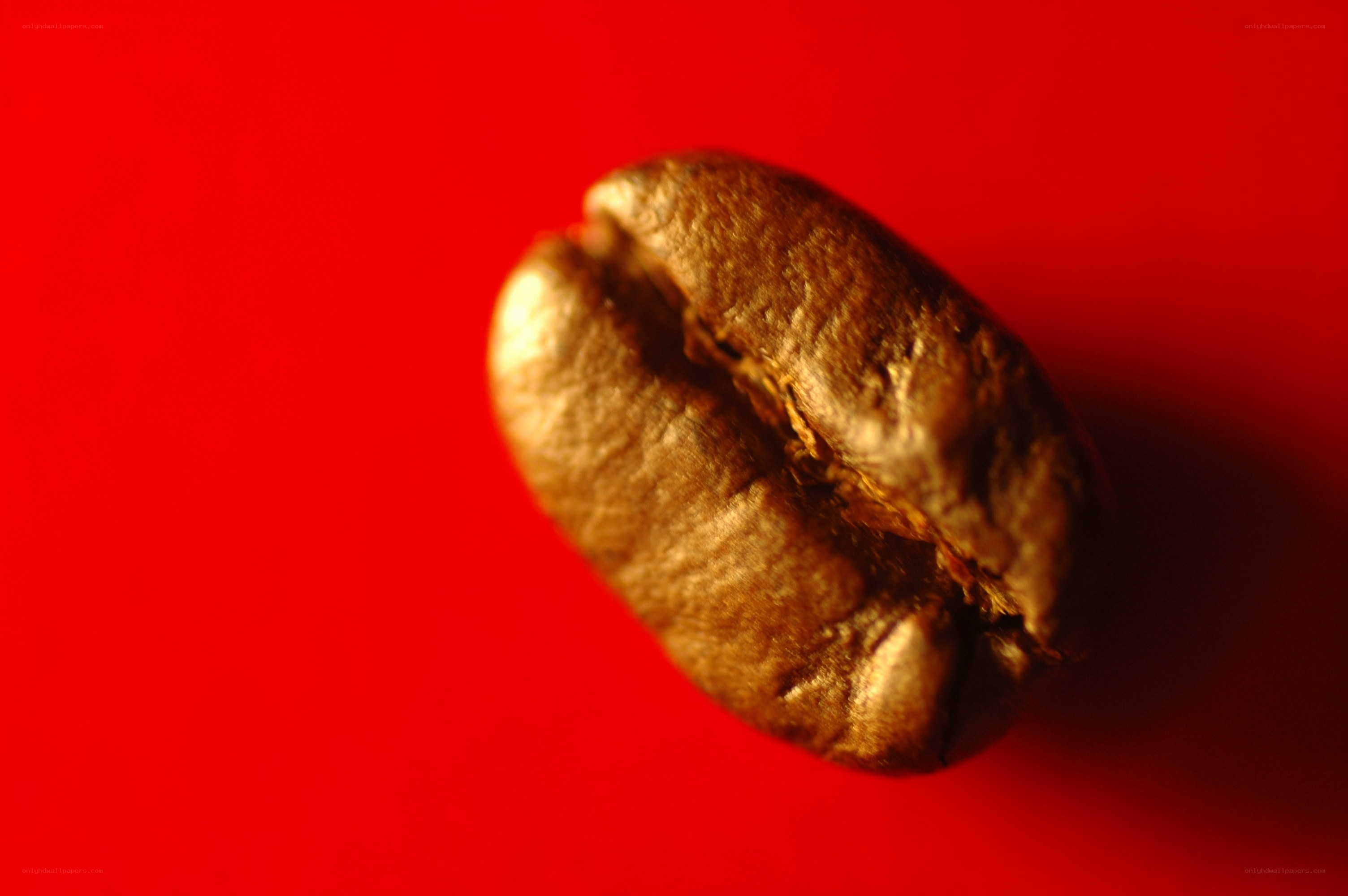 coffee bean on red background