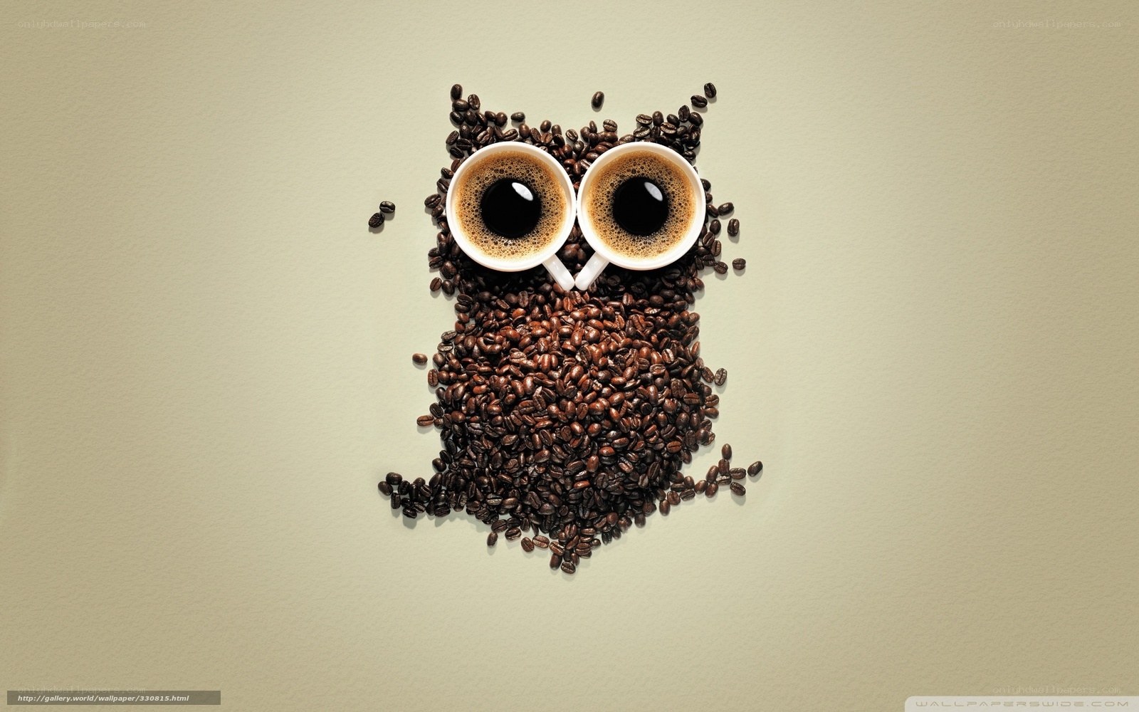 coffee bean owl art