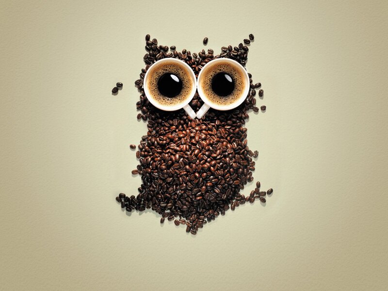 coffee bean owl art