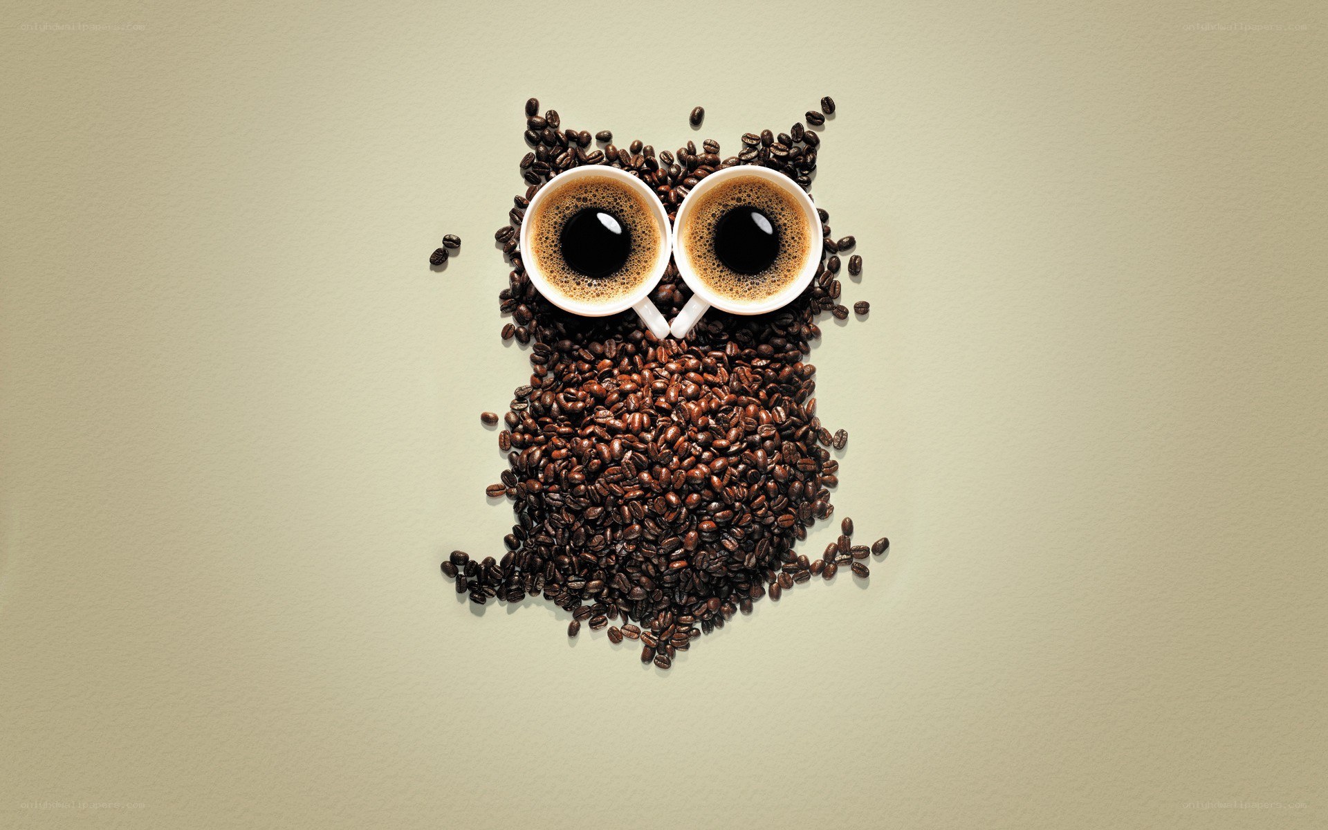 coffee bean owl art