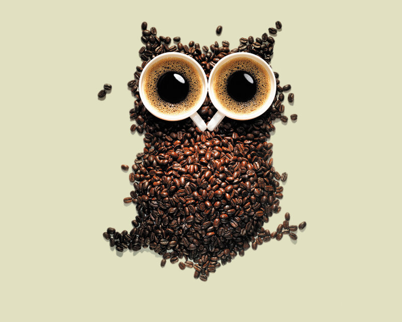 coffee bean owl art