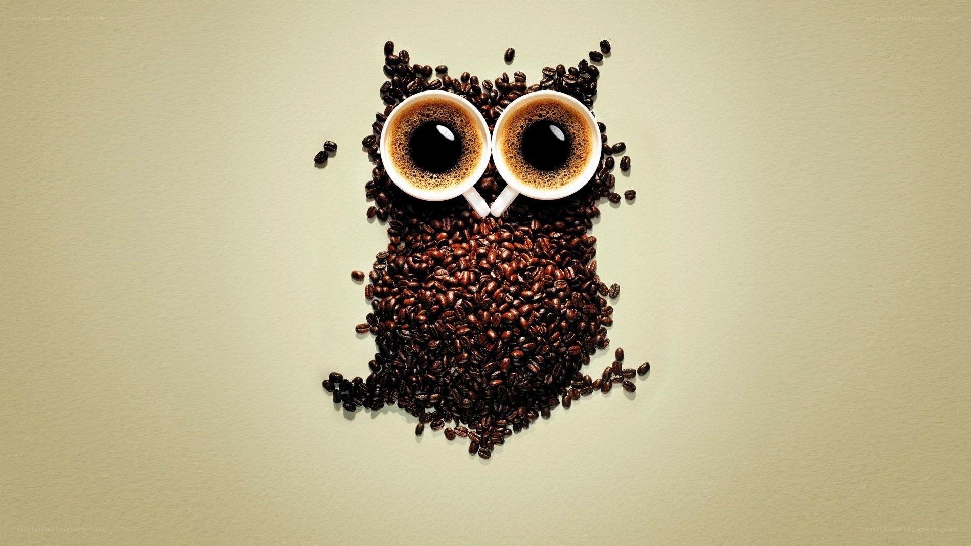 coffee bean owl art