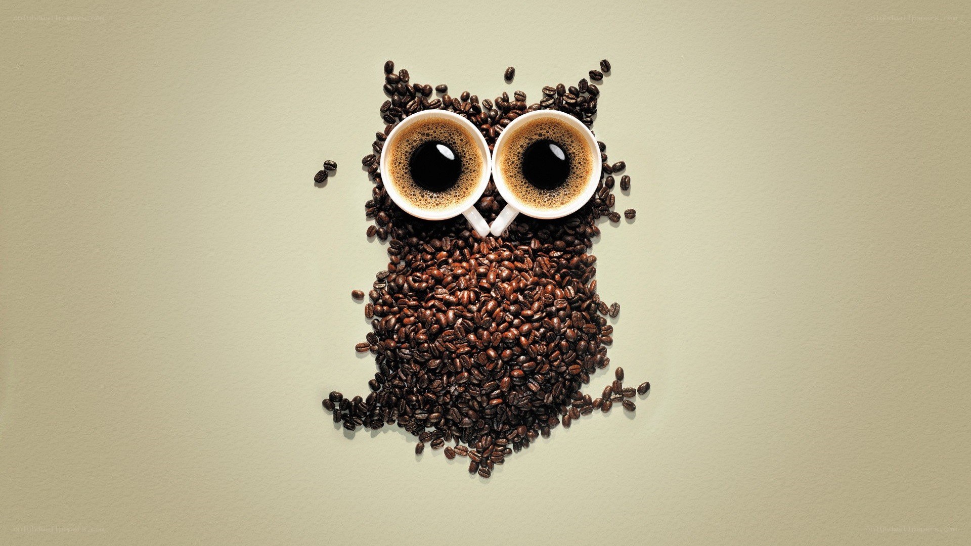coffee bean owl art
