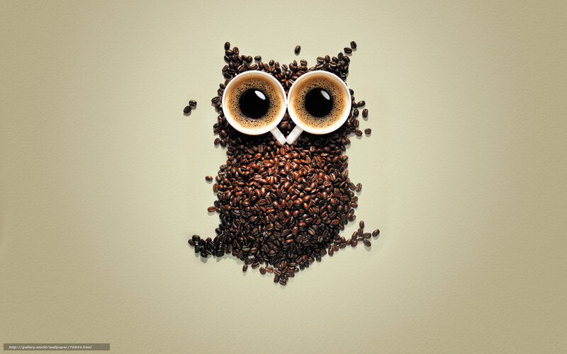 coffee bean owl art
