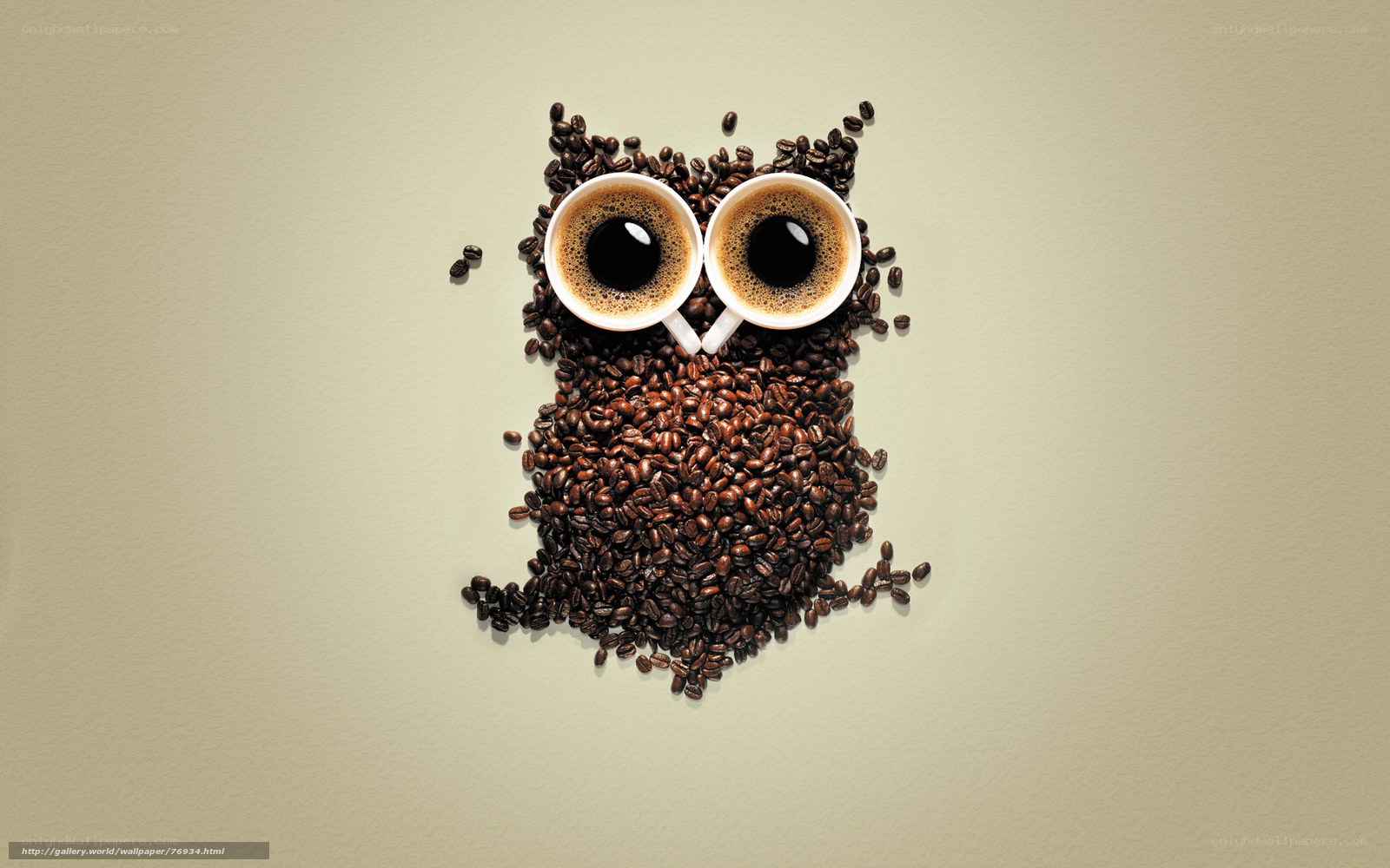 coffee bean owl art