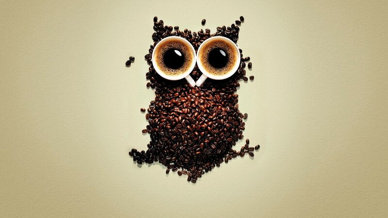 Coffee Bean Owl — Brown, Calm, Photograph