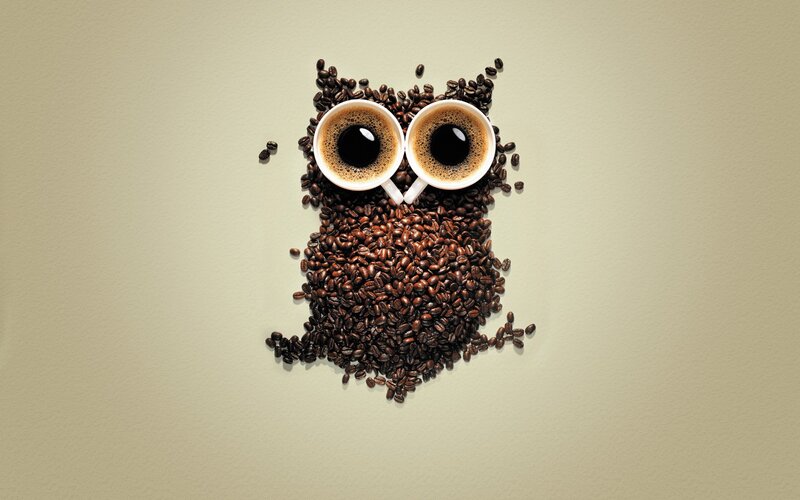 Coffee Bean Owl — Brown, Calm