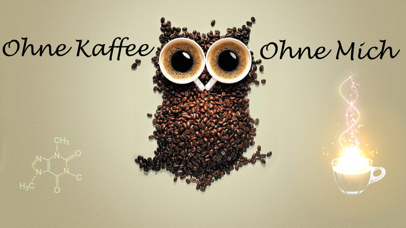 Coffee Bean Owl — Brown, Playful, Illustration