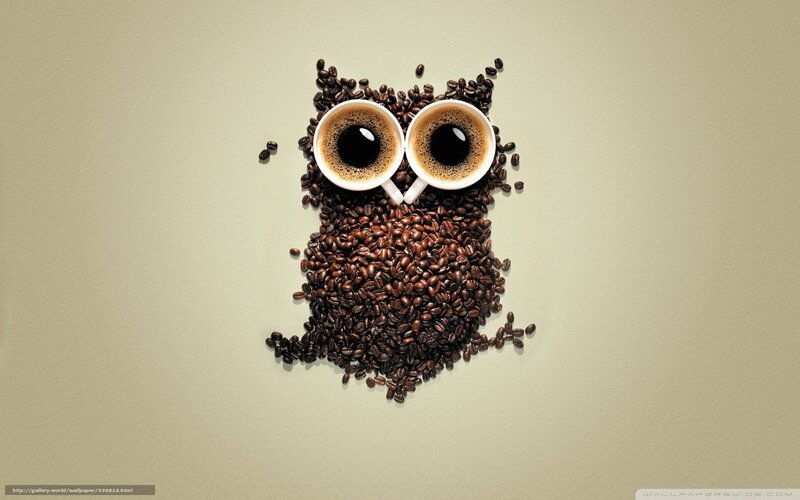 Coffee Bean Owl — Brown, Playful, Photograph