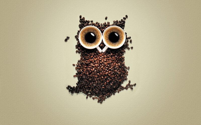 Coffee Bean Owl — Brown, Playful