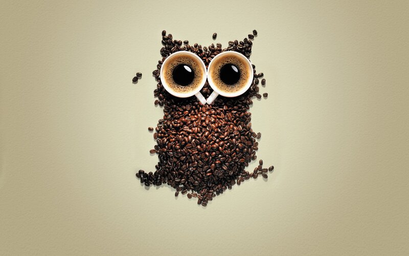 Coffee Bean Owl — Brown