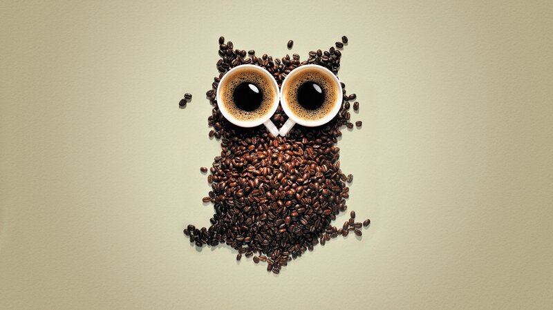 Coffee Bean Owl