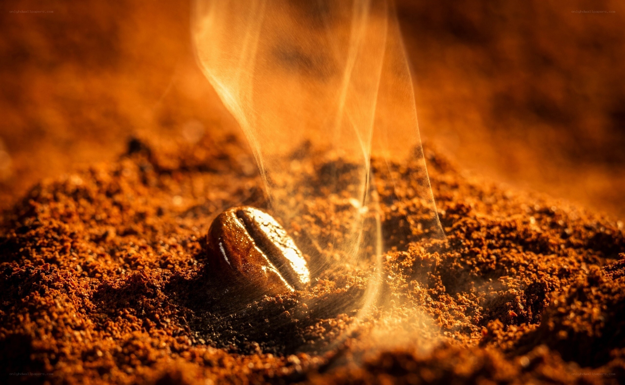 coffee bean with steam