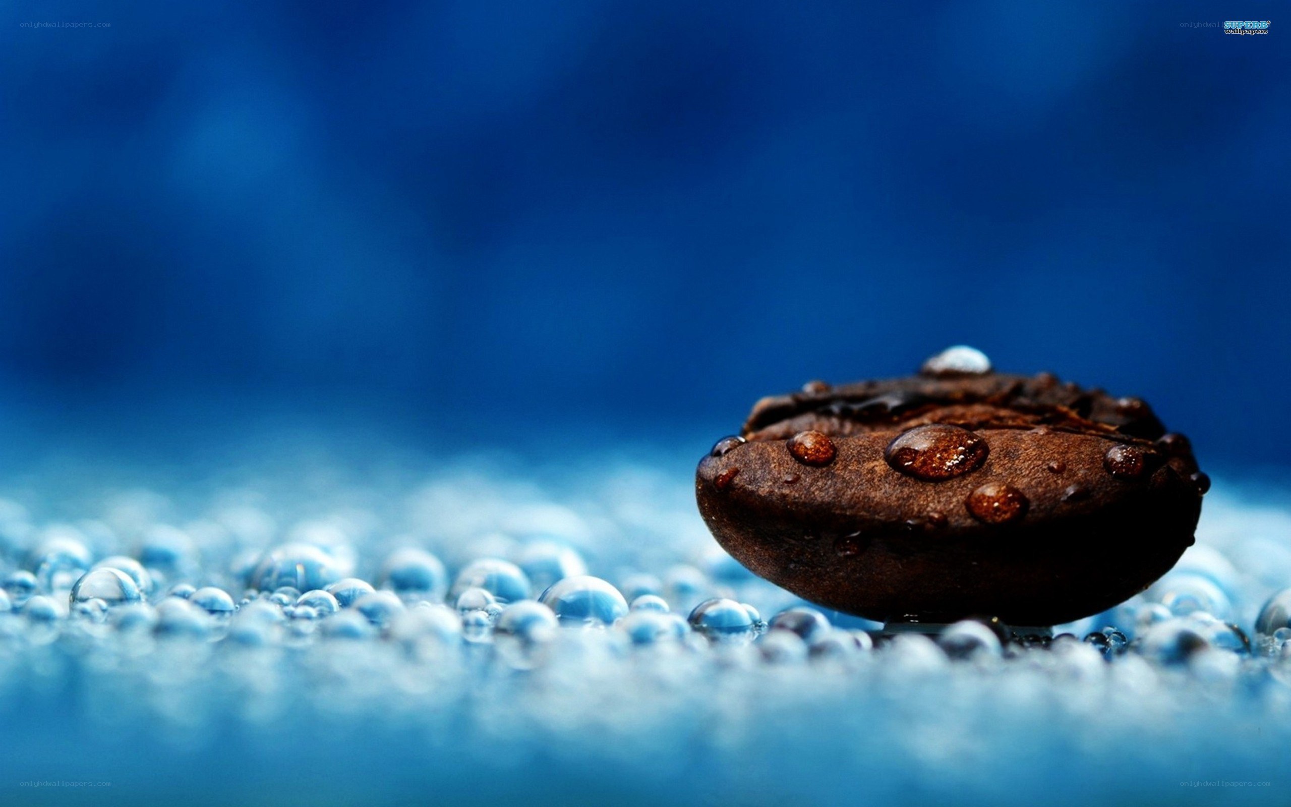 coffee bean with water droplets