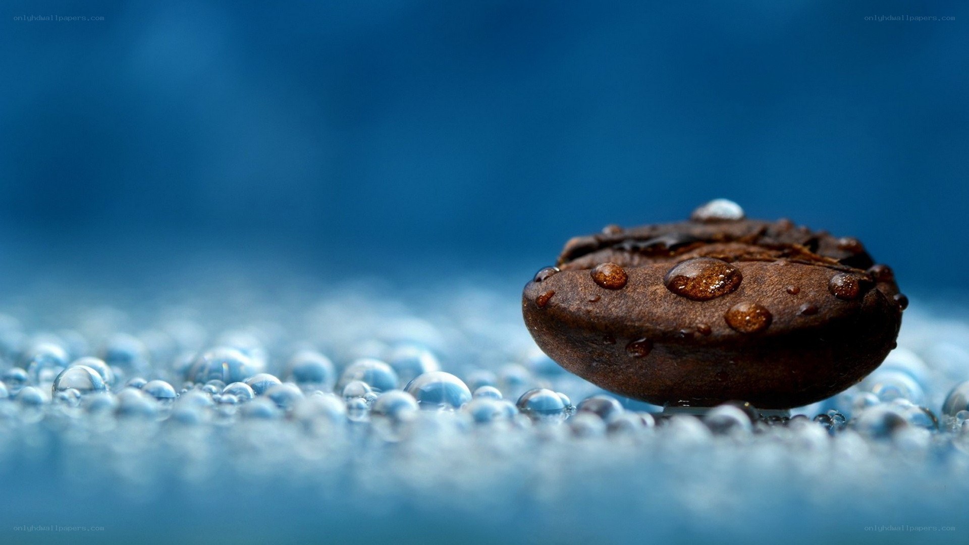 coffee bean with water droplets
