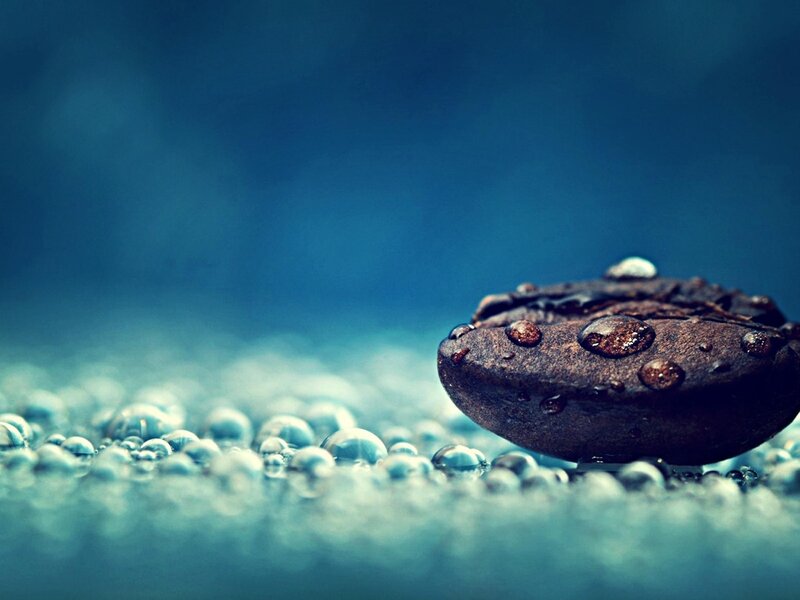 coffee bean with water droplets