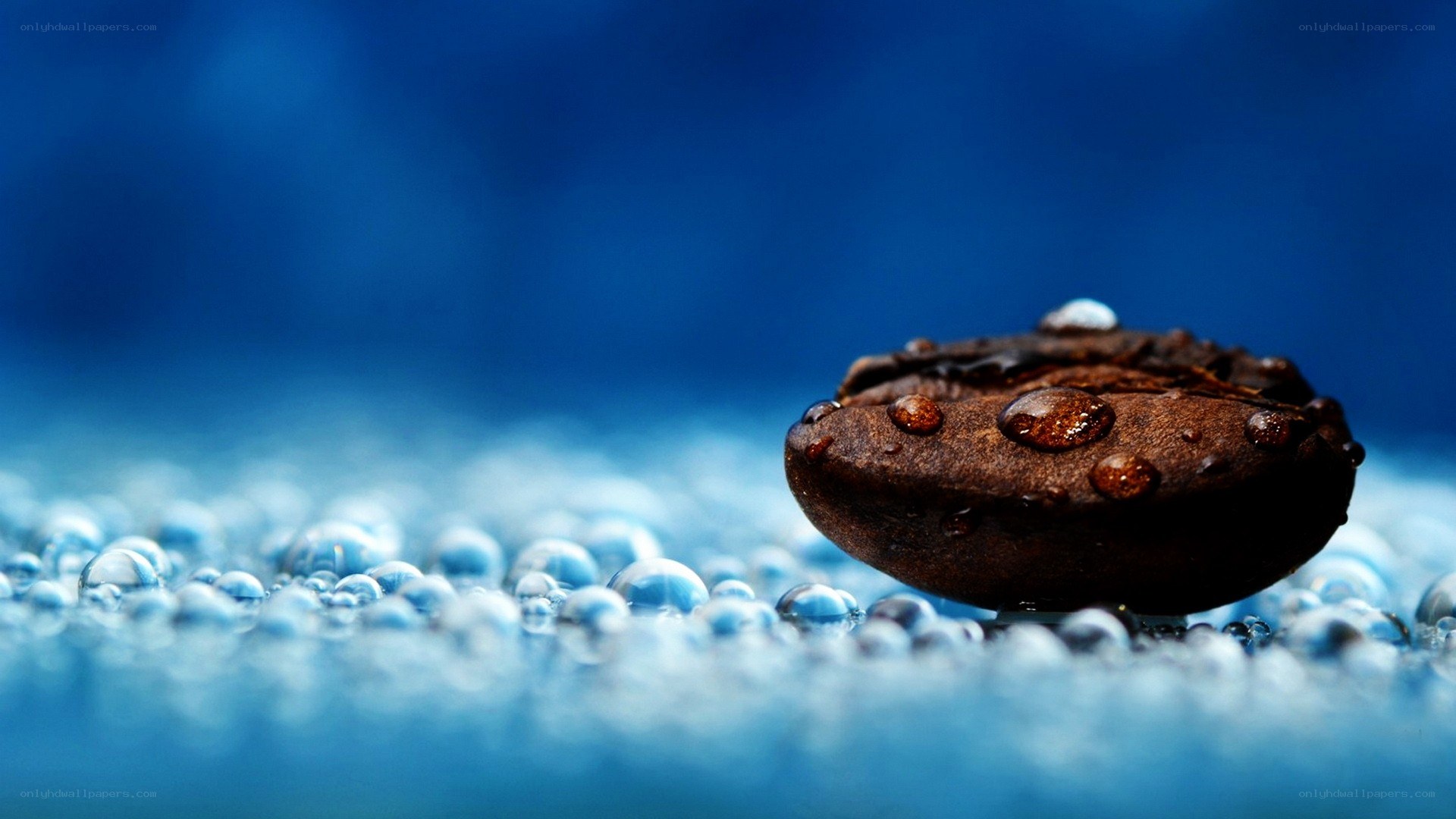 coffee bean with water droplets