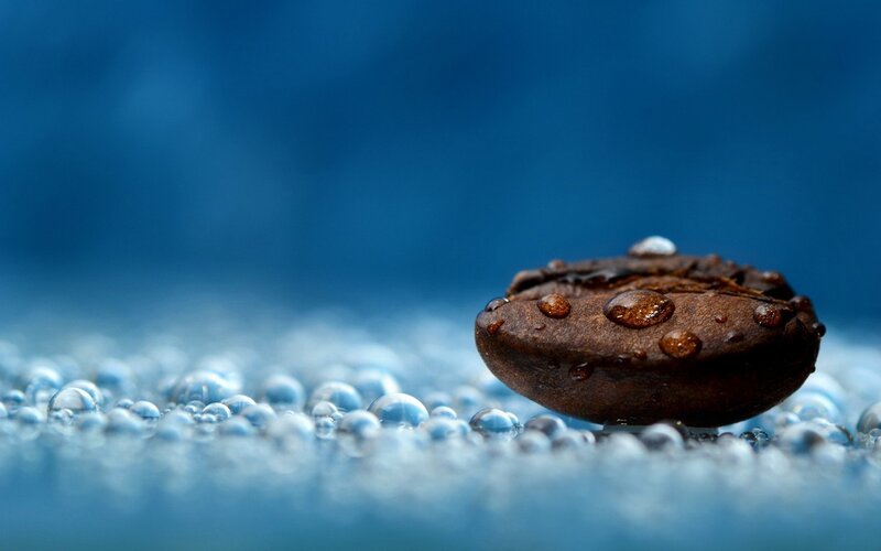 Coffee Bean with Water Droplets — Blue, Calm
