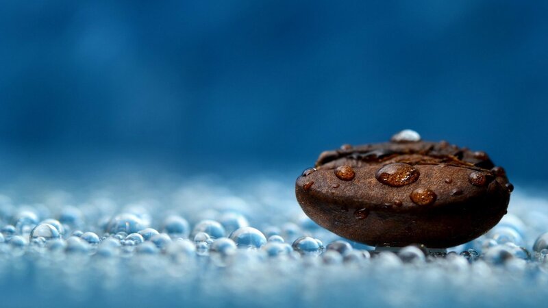 Coffee Bean with Water Droplets — Brown