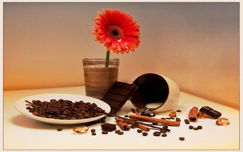Coffee Beans and Chocolate — Brown