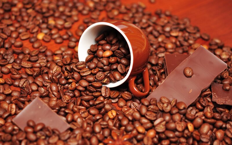 Coffee Beans and Chocolate — Brown, Warm, Photograph, Coffee Cup