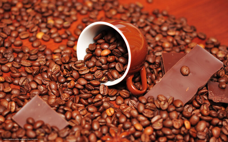 Coffee Beans and Chocolate — Brown, Warm, Photograph, Cup