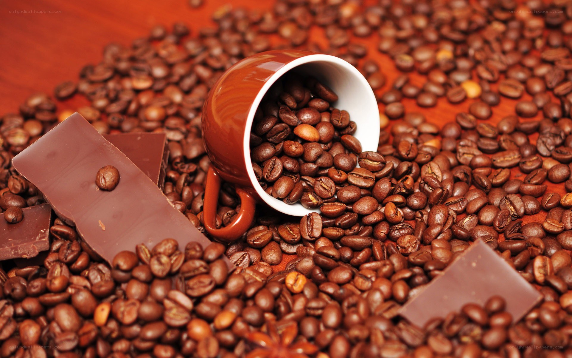 coffee beans and chocolate pieces
