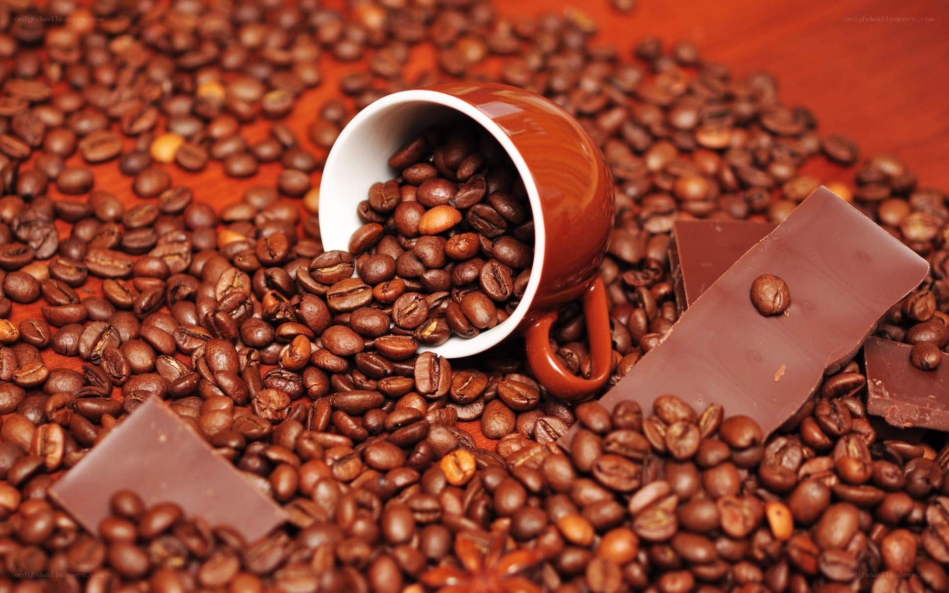 coffee beans and chocolate pieces