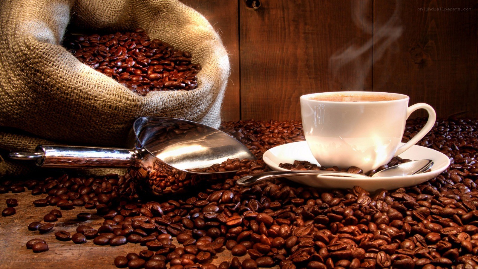 coffee beans and cup