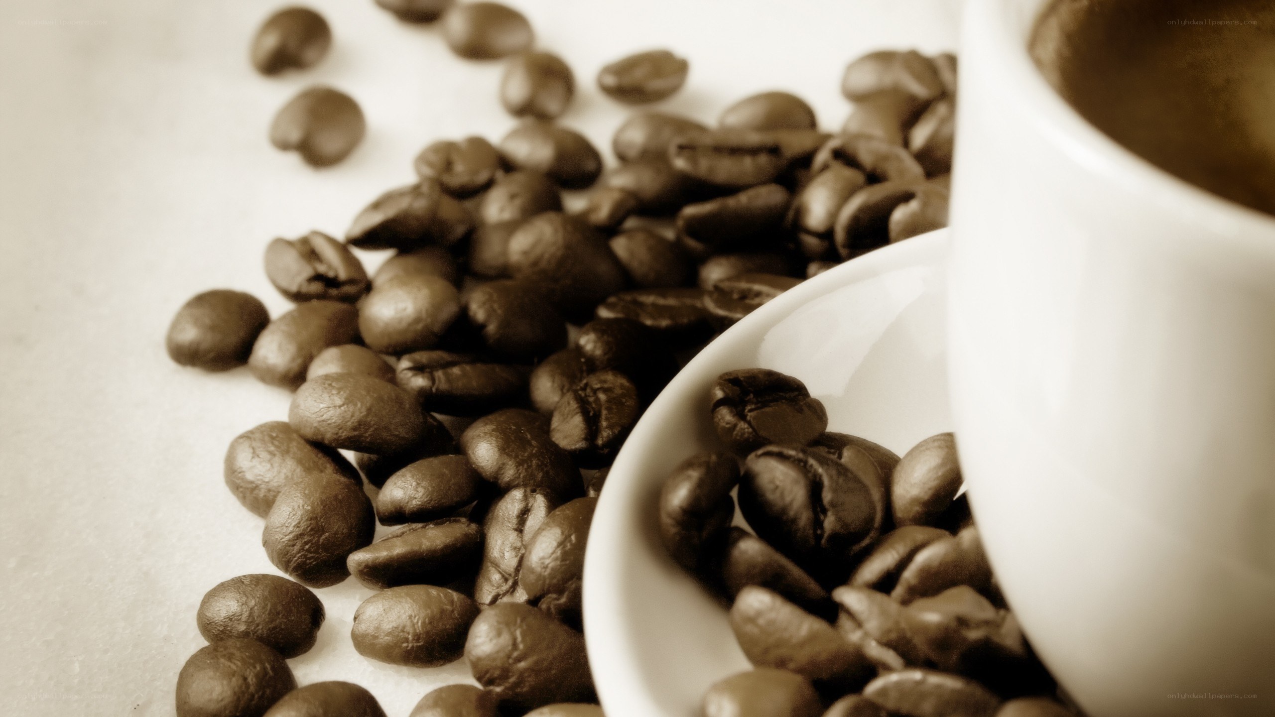 coffee beans and cup