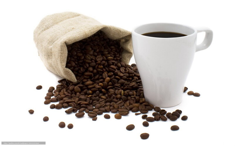 Coffee Beans and Cup — Brown, Neutral, Photograph
