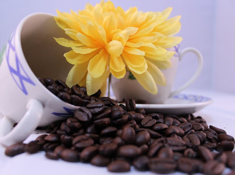 Coffee Beans and Cup — Yellow